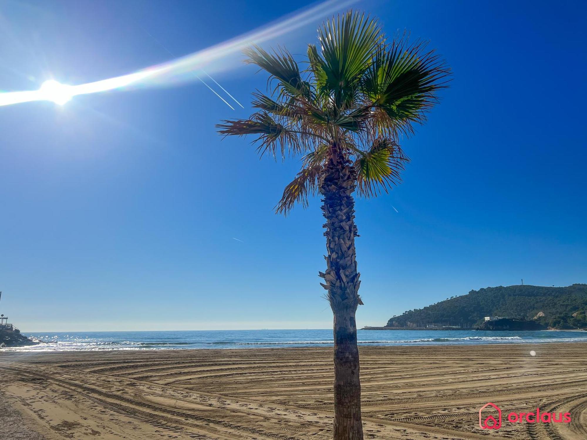 Cala Concha Daire Oropesa del Mar Dış mekan fotoğraf